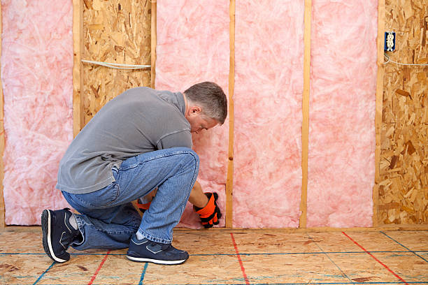 Best Types of Insulation in Allouez, WI